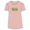 Women's Softstyle® CVC T-Shirt Thumbnail