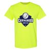Heavy Cotton™ T-Shirt Thumbnail