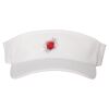 110® Visor Thumbnail