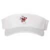 110® Visor Thumbnail