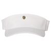 110® Visor Thumbnail