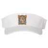 110® Visor Thumbnail