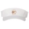 110® Visor Thumbnail