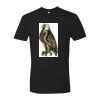 Unisex Cotton Tee Thumbnail