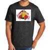 Tri Blend Tee Thumbnail