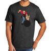 Tri Blend Tee Thumbnail
