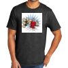 Tri Blend Tee Thumbnail