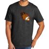 Tri Blend Tee Thumbnail