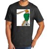 Tri Blend Tee Thumbnail