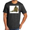 Tri Blend Tee Thumbnail