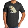 Tri Blend Tee Thumbnail