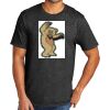 Tri Blend Tee Thumbnail