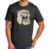 Tri Blend Tee Thumbnail