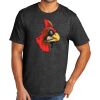 Tri Blend Tee Thumbnail