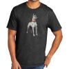 Tri Blend Tee Thumbnail