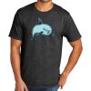 Tri Blend Tee Thumbnail