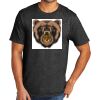 Tri Blend Tee Thumbnail