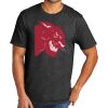 Tri Blend Tee Thumbnail