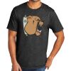 Tri Blend Tee Thumbnail