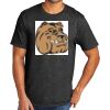 Tri Blend Tee Thumbnail