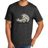 Tri Blend Tee Thumbnail
