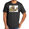 Tri Blend Tee Thumbnail