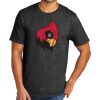 Tri Blend Tee Thumbnail