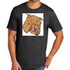 Tri Blend Tee Thumbnail