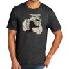 Tri Blend Tee Thumbnail