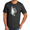 Tri Blend Tee Thumbnail