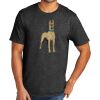 Tri Blend Tee Thumbnail