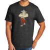 Tri Blend Tee Thumbnail