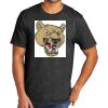 Tri Blend Tee Thumbnail