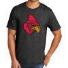 Tri Blend Tee Thumbnail