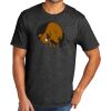 Tri Blend Tee Thumbnail