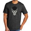 Tri Blend Tee Thumbnail