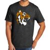 Tri Blend Tee Thumbnail