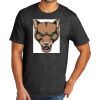 Tri Blend Tee Thumbnail