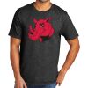 Tri Blend Tee Thumbnail