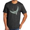 Tri Blend Tee Thumbnail