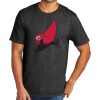 Tri Blend Tee Thumbnail