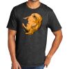 Tri Blend Tee Thumbnail
