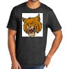 Tri Blend Tee Thumbnail