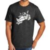Tri Blend Tee Thumbnail