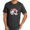 Tri Blend Tee Thumbnail