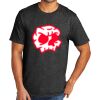 Tri Blend Tee Thumbnail