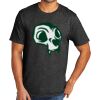 Tri Blend Tee Thumbnail