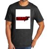 Tri Blend Tee Thumbnail