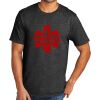 Tri Blend Tee Thumbnail