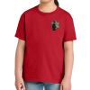 Youth Softstyle ® Midweight Tee Thumbnail